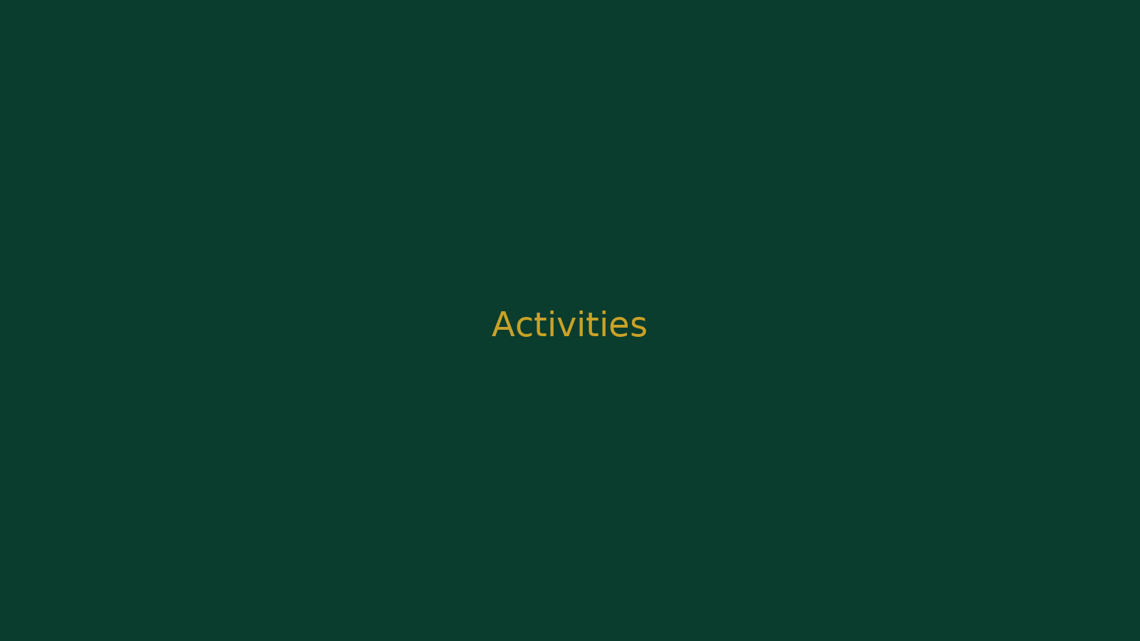 Activities